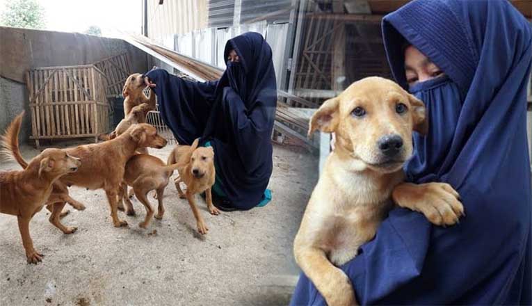 Wanita Bercadar Pelihara 70 Ekor Anjing Diprotes Oleh Warga Setempat