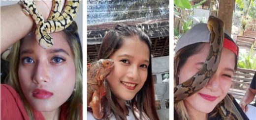 Berawal dari hobi merawat hewan reptil ibu muda ini sukses mendirikan Zeround EduPark atau Mini Zoo di Dusun Sinargalih RT 01 RW 09.
