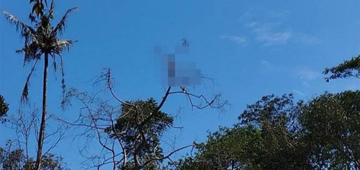 Terlihat dengan jelas potongan tubuh yang tersangkut di salah satu pohon di dekat lokasi terjadinya ledakan petasan di Dusun Sadeng
